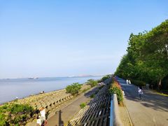 -上海滨江森林公园