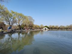 -洛阳市隋唐城遗址植物园