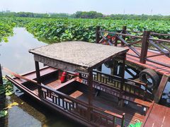 -荷塘月色湿地公园·向阳花洲