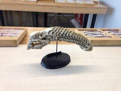 -无界眼镜MaxLess(五角场万达店)