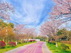 -尚贤河湿地