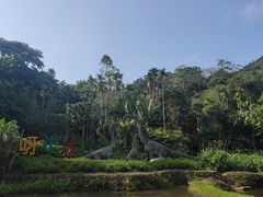 -呀诺达热带雨林