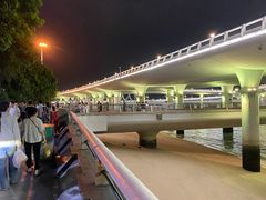 -演武大桥观景平台