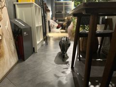 -咖法森林·咖啡  酒吧(天河店)