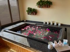 -春晖园度假酒店温泉