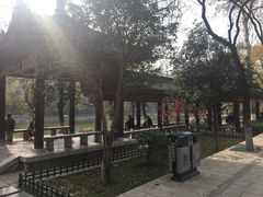 -莲湖公园