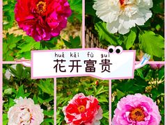 -仁和公园(顺义区)