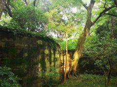 -灵谷景区
