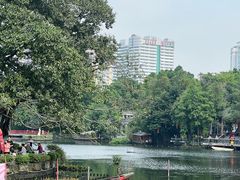 -荔湾湖公园