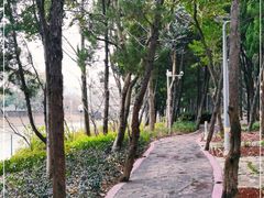 -嘉定紫藤园