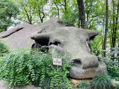 -中国茶叶博物馆(双峰馆区)
