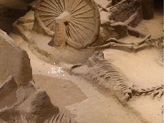 -洛阳周王城天子驾六博物馆