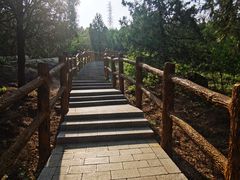 -白水寺森林公园