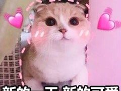-哈尔滨师范大学(松北校区)