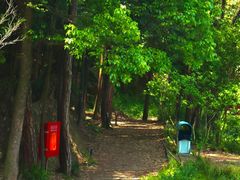 -缙云山景区