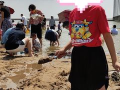 -碧海金沙