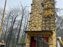 -象山森林公园