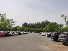-东郊湿地公园