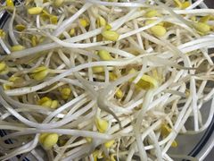 豆芽-堂客老火锅(欣阳广场总店)