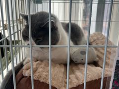 -猫的天空之城概念书店(北戴河蔚蓝海岸店)