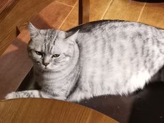 -H立方实景剧情密室(天河旗舰店)