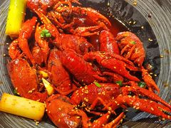 -肥肥虾庄·金牌油焖大虾(沙湖店)