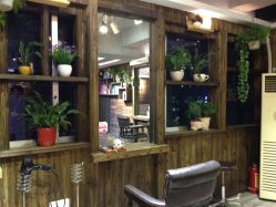 IMG_0735-星野形象