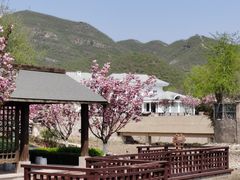 -静之湖湖畔餐厅