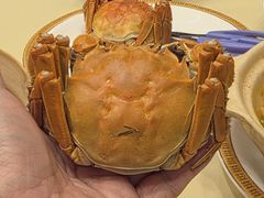 -王宝和酒家(黄浦店)