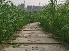 -西安汉城湖景区