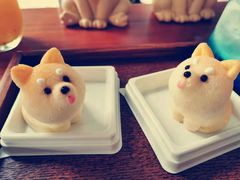 -柴犬高等学院·狗咖·柴犬售卖·宠物训练