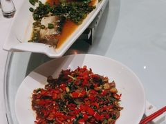 -沪碟·精菜坊(闵行店)