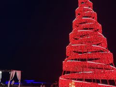 -海南清水湾莱佛士酒店