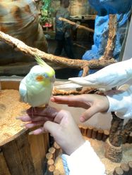 -Zoolung Zoolung动物主题公园(海信广场店)