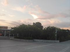 -光明驾校·学车·陪驾(杨浦店)