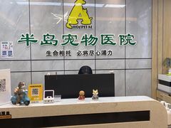 -半岛宠物医院24小时(西派城店)