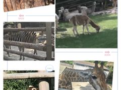 -泉州海丝野生动物世界