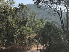 -灵岩山风景区