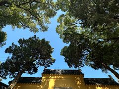 -灵岩山风景区