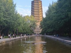 -玲珑塔公园