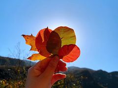-香山公园-东宫门售票处