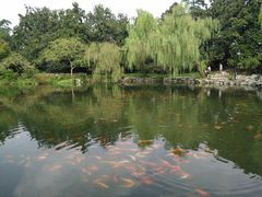 -西湖外事游船(花港观鱼码头)