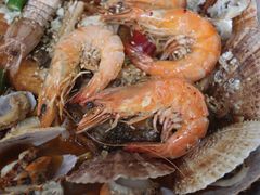 -大锅强·蒸海鲜青岛菜(吾悦广场店)