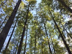 -南京金牛湖风景区