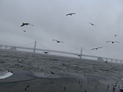 -星海广场