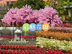 -盈香心动乐园