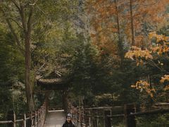 -凤栖山