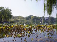 -阳澄湖半岛旅游度假区