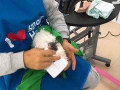 -圣宠动物医院·犬猫专科·影像中心·外科中心