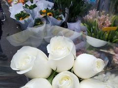 -循礼门鲜花花市(武汉循礼门店)